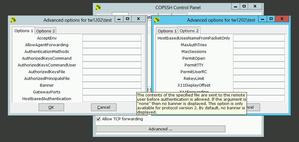 Copssh Control Panel user advanced options