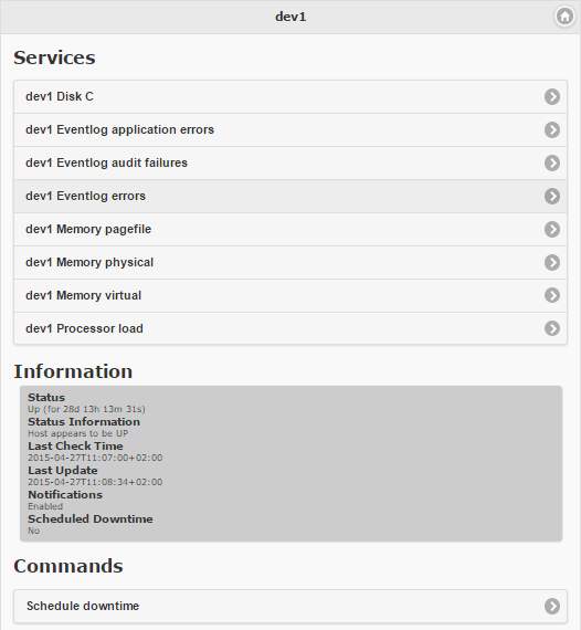 Teeny Nagios host services screen